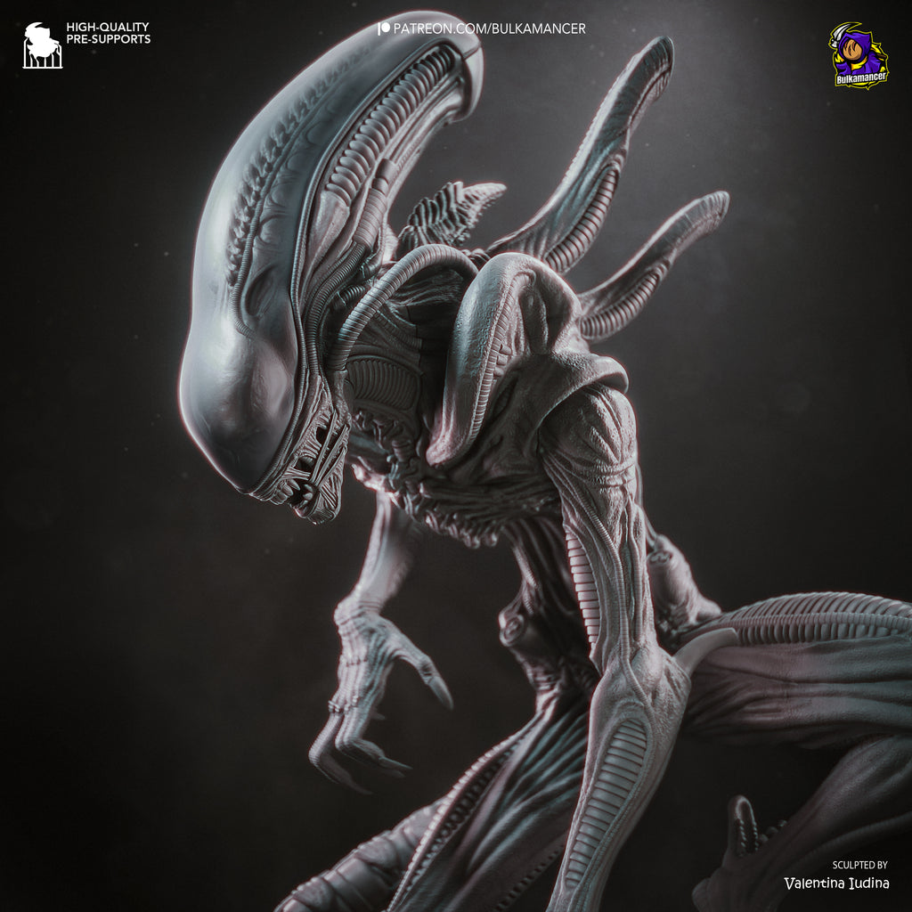 The Xenomorph - Alien Resin Figure - Display Collector Piece